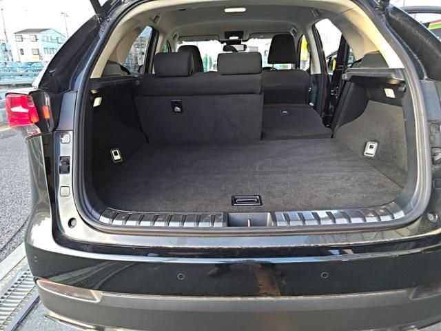 LEXUS NX300