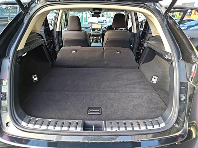 LEXUS NX300