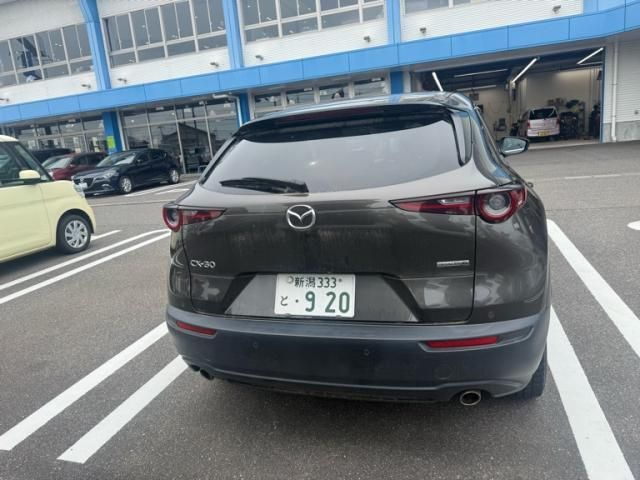 CX-30
