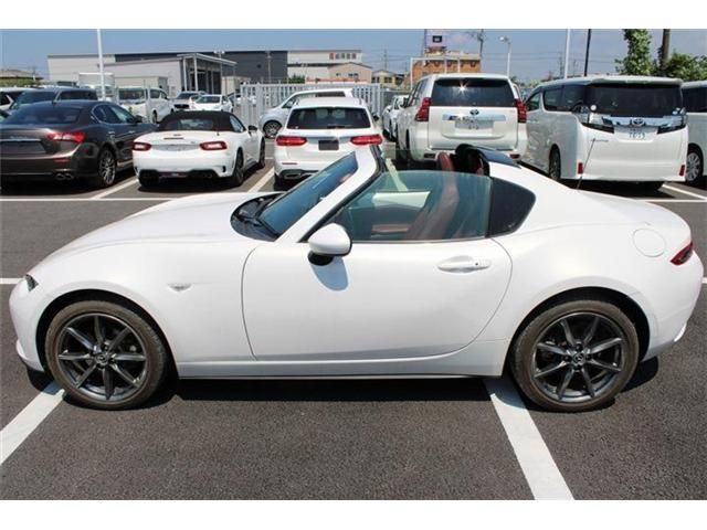 ROADSTER RF