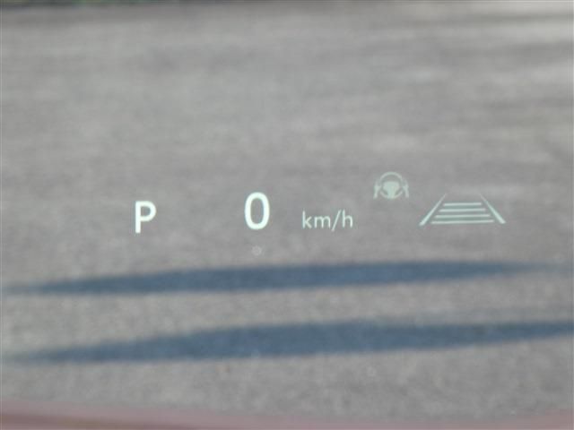 CROWN SPORT