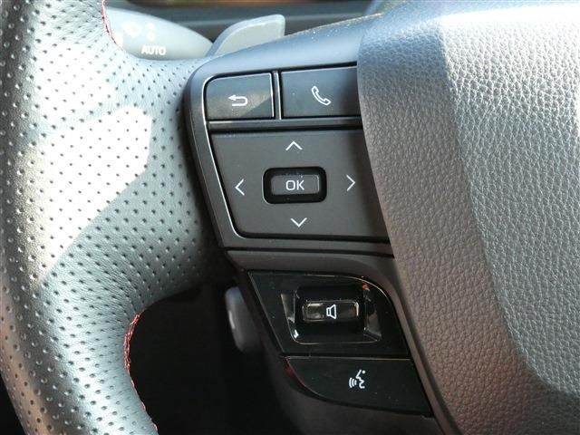 CROWN SPORT