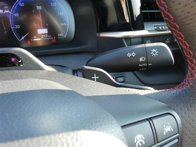 CROWN SPORT