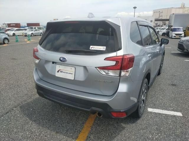 FORESTER