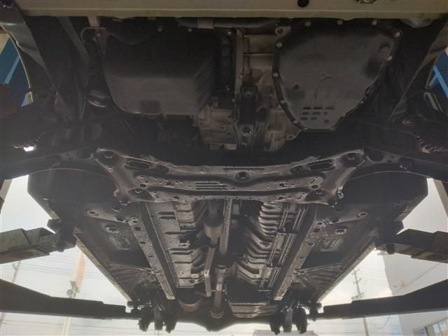 DAYZ ROOX 4WD