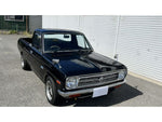 SUNNY truck