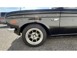 SUNNY truck
