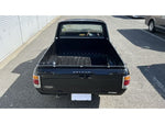 SUNNY truck