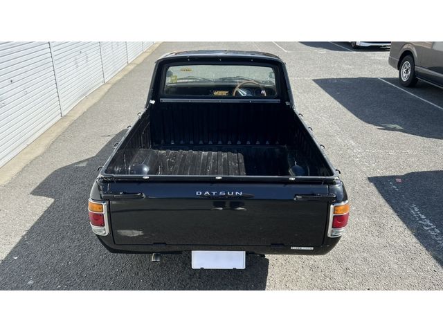 SUNNY truck