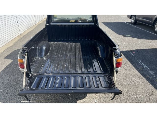 SUNNY truck