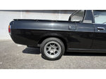 SUNNY truck