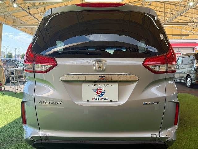 FREED plus HYBRID