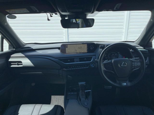 LEXUS UX250h