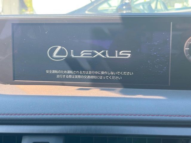 LEXUS UX250h