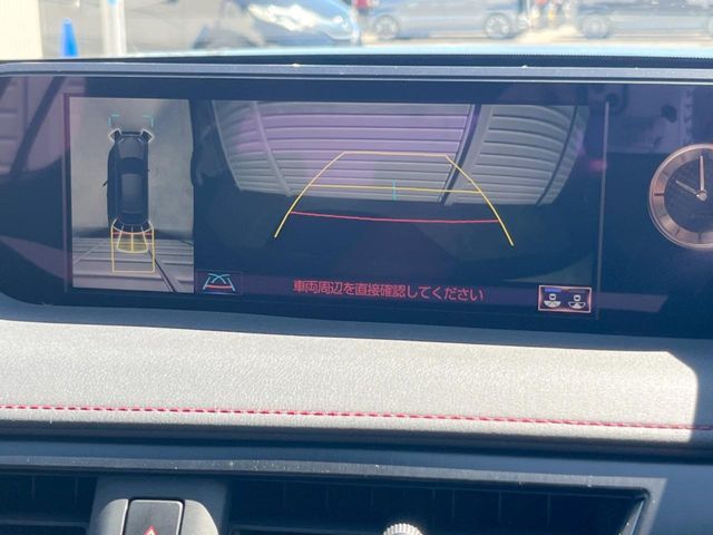 LEXUS UX250h
