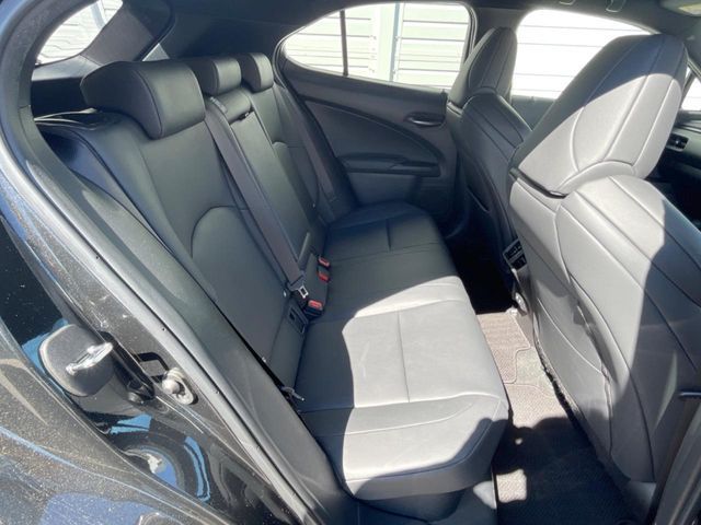 LEXUS UX250h