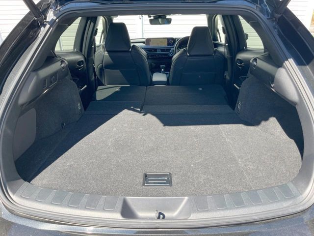 LEXUS UX250h