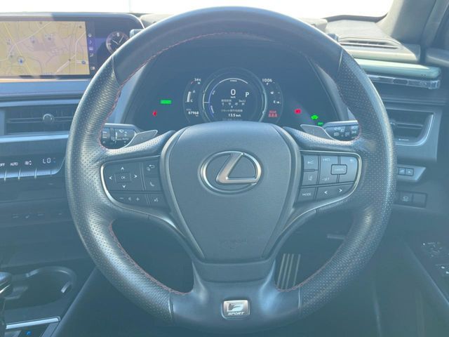 LEXUS UX250h