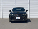 LEXUS UX250h