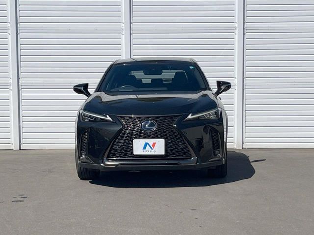LEXUS UX250h