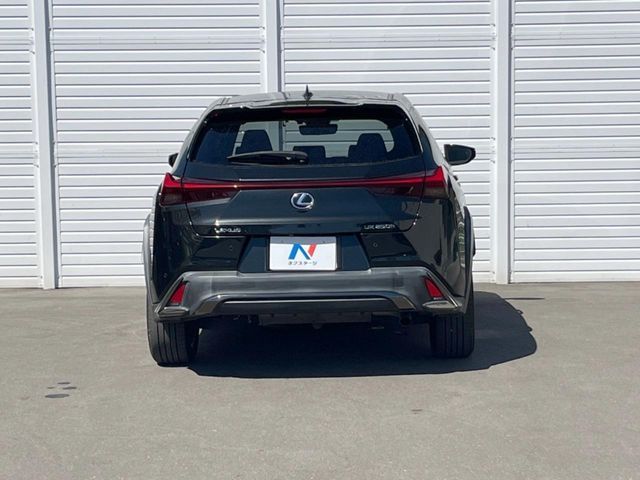 LEXUS UX250h