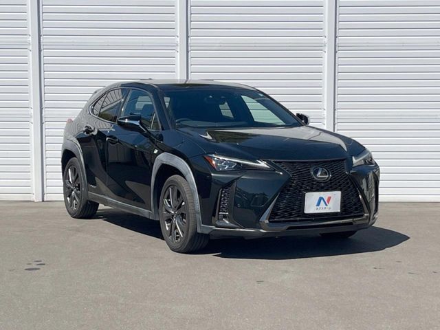 LEXUS UX250h
