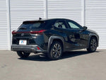 LEXUS UX250h