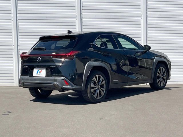 LEXUS UX250h