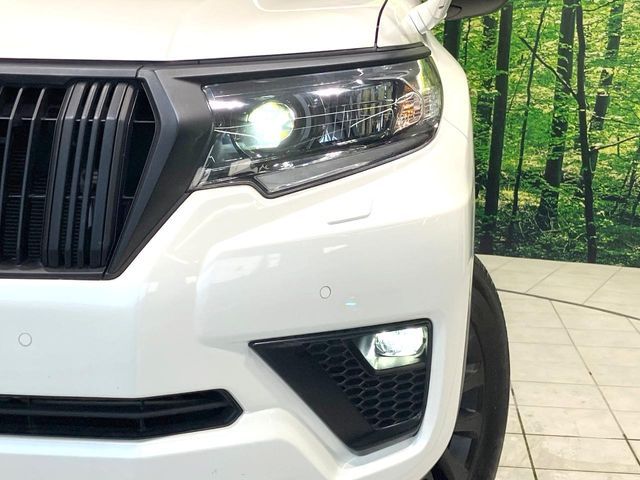 LANDCRUISER PRADO