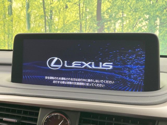 LEXUS RX300