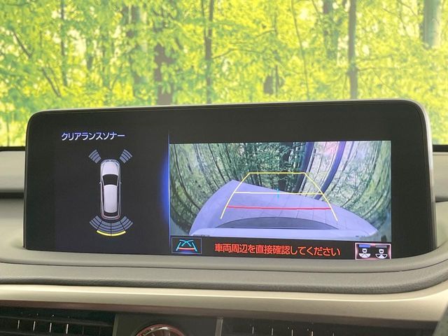 LEXUS RX300
