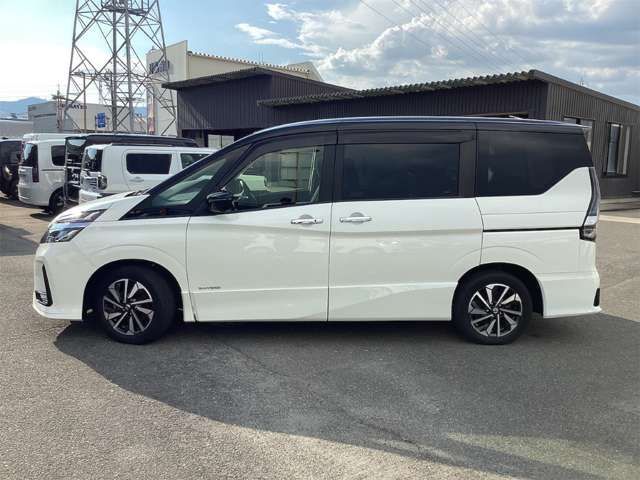SERENA  S-HYBRID