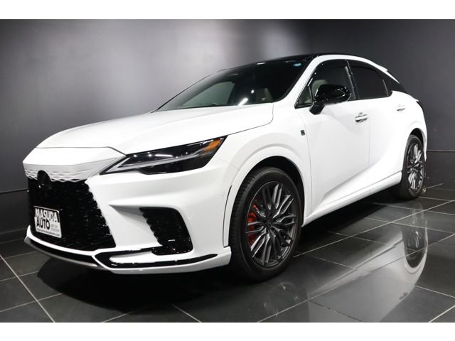 LEXUS RX500h