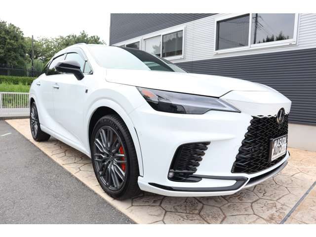 LEXUS RX500h