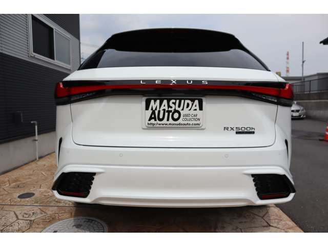 LEXUS RX500h