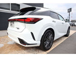 LEXUS RX500h