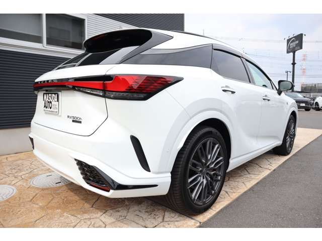 LEXUS RX500h