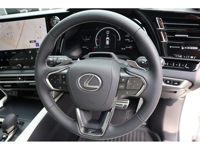LEXUS RX500h
