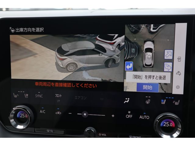 LEXUS RX500h