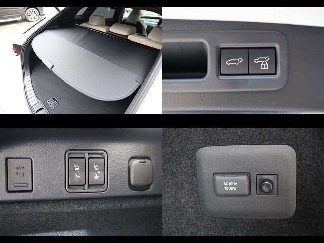 LEXUS RX500h