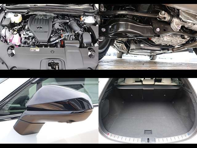 LEXUS RX500h