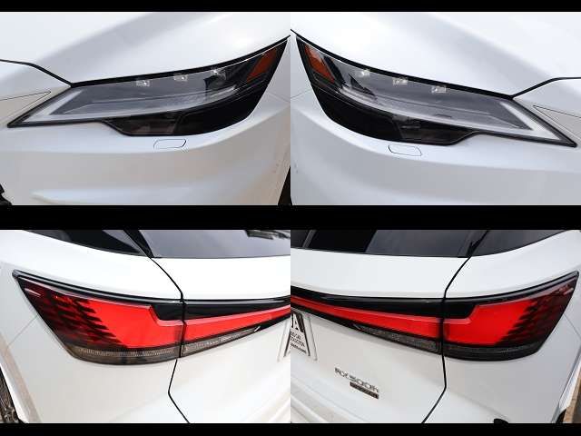 LEXUS RX500h