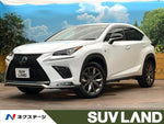 LEXUS NX300