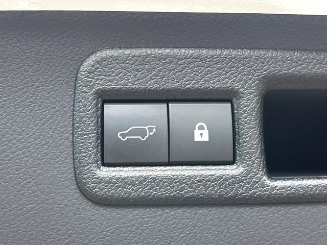 LEXUS NX300