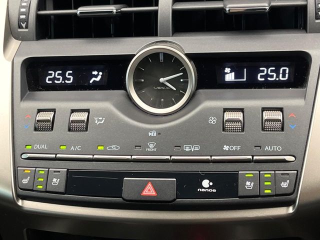 LEXUS NX300