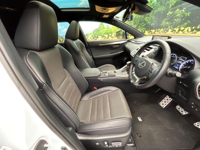 LEXUS NX300