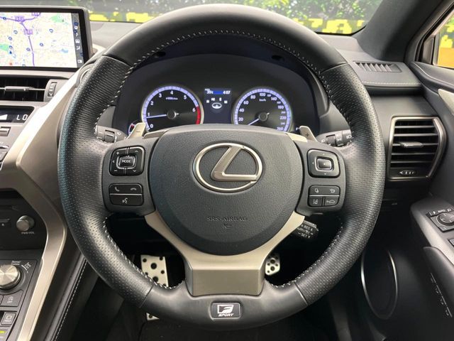 LEXUS NX300