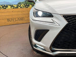 LEXUS NX300