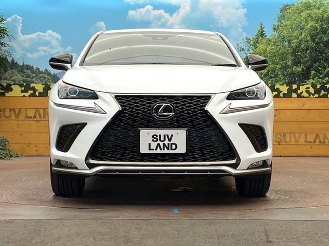 LEXUS NX300