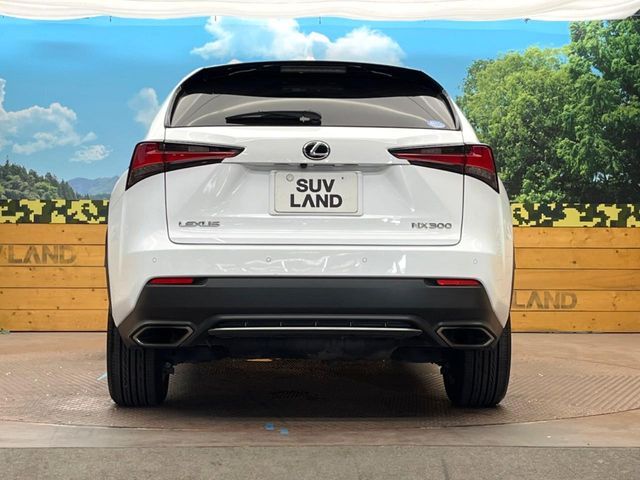LEXUS NX300